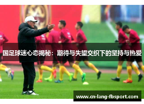 国足球迷心态揭秘：期待与失望交织下的坚持与热爱