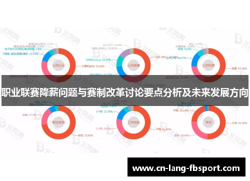 职业联赛降薪问题与赛制改革讨论要点分析及未来发展方向 职业联赛降薪问题与赛制改革讨论要点分析及未来发展方向