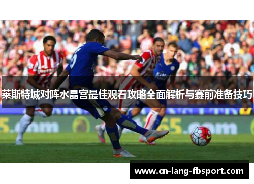 莱斯特城对阵水晶宫最佳观看攻略全面解析与赛前准备技巧 莱斯特城对阵水晶宫最佳观看攻略全面解析与赛前准备技巧