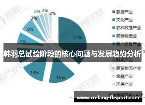 韩羽总试验阶段的核心问题与发展趋势分析 韩羽总试验阶段的核心问题与发展趋势分析