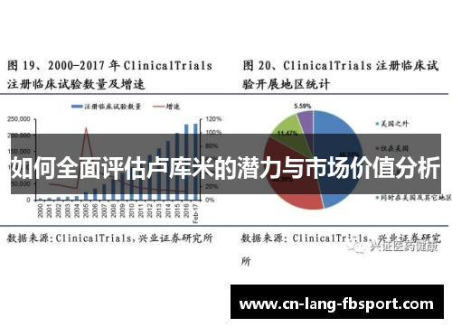 如何全面评估卢库米的潜力与市场价值分析