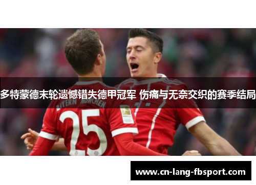 多特蒙德末轮遗憾错失德甲冠军 伤痛与无奈交织的赛季结局 多特蒙德末轮遗憾错失德甲冠军 伤痛与无奈交织的赛季结局