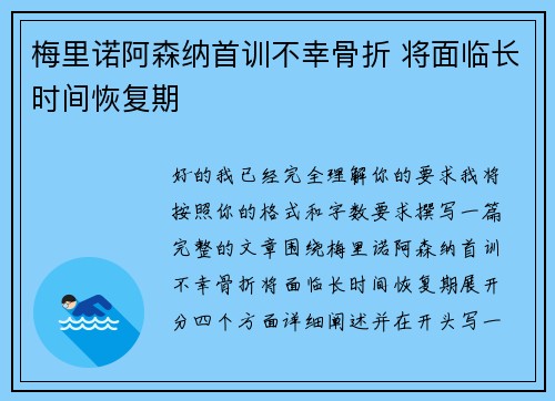 梅里诺阿森纳首训不幸骨折 将面临长时间恢复期 梅里诺阿森纳首训不幸骨折 将面临长时间恢复期